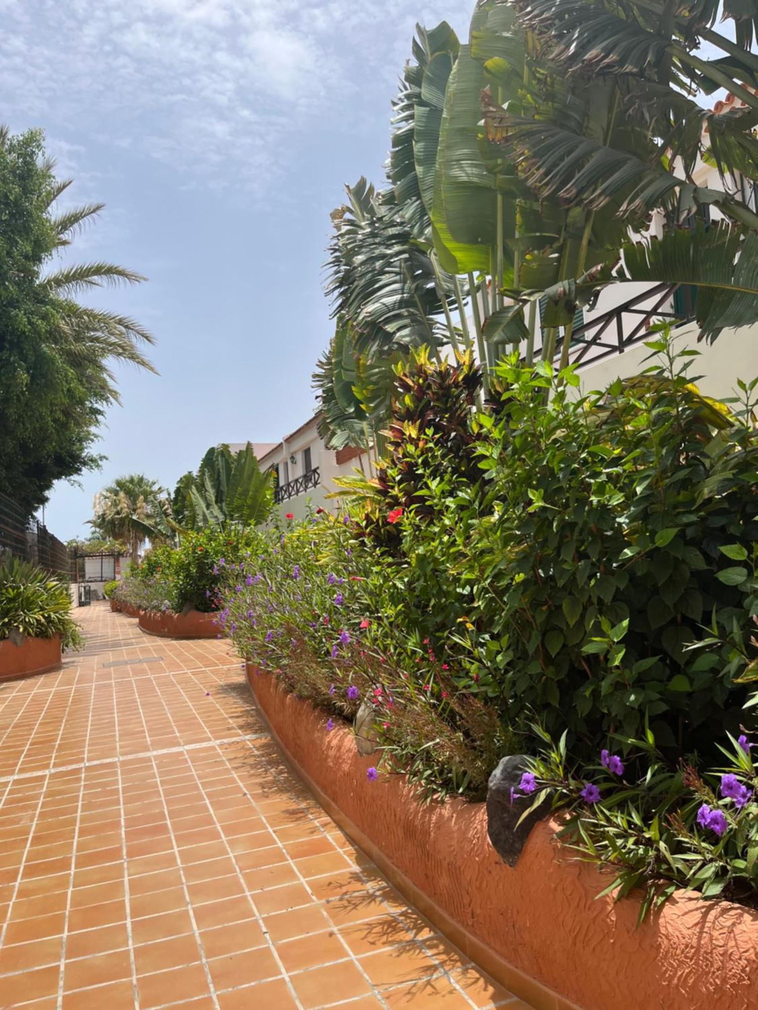 דירות קוסטה דל סילנסיו Casa Parque Don Jose 2 מראה חיצוני תמונה