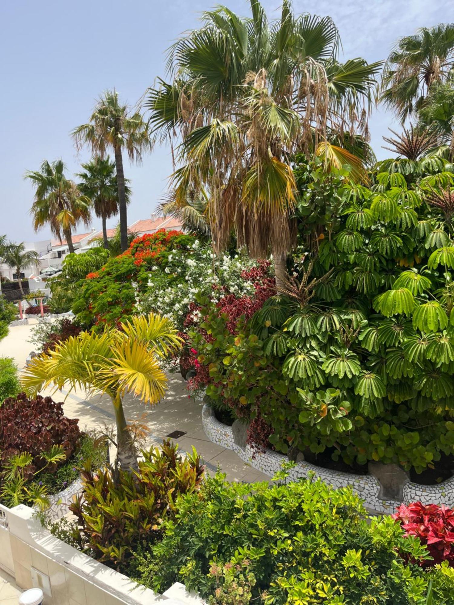 דירות קוסטה דל סילנסיו Casa Parque Don Jose 2 מראה חיצוני תמונה